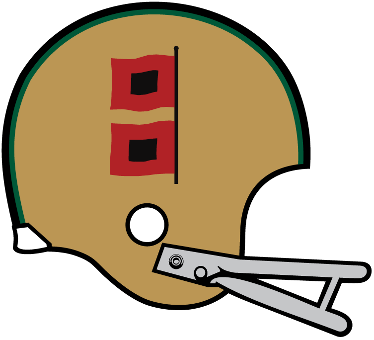 Miami Hurricanes 1967 Helmet Logo DIY iron on transfer (heat transfer)